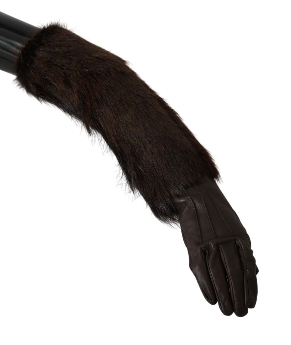 Dolce & Gabbana Braun Ellenbogenlänge Fäustlinge Leder Pelz Handschuhe