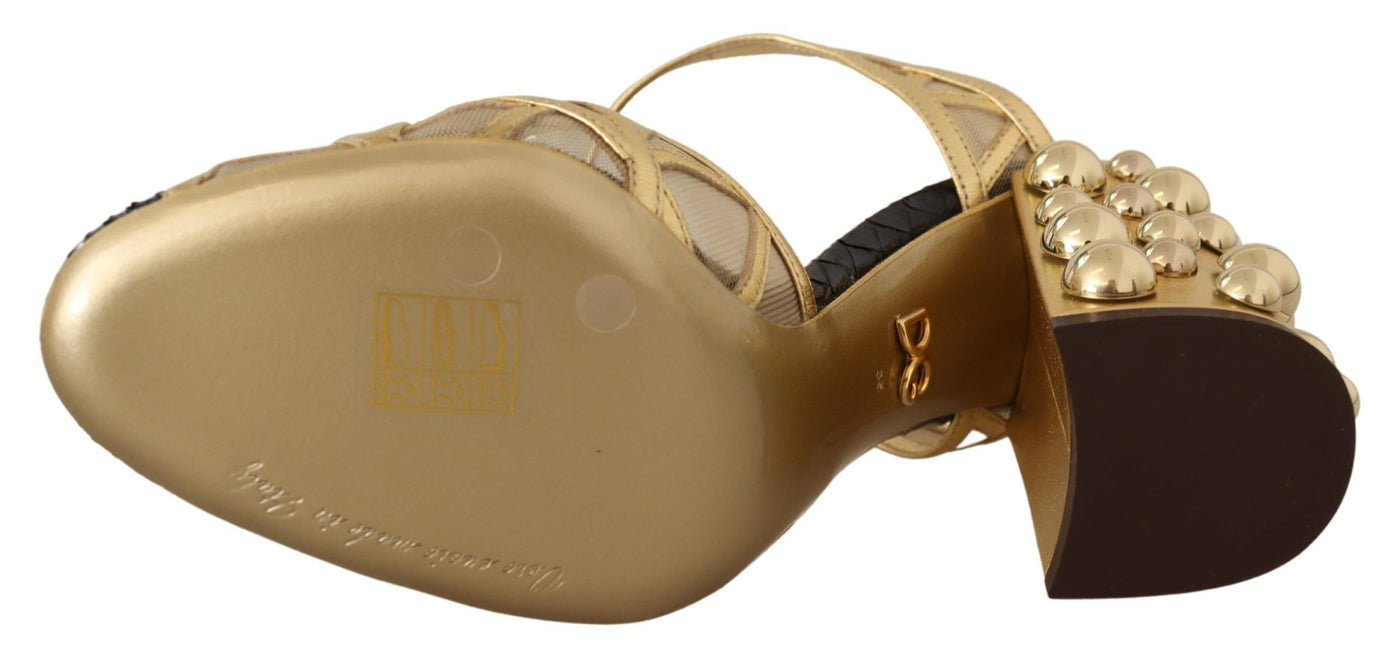 Dolce & Gabbana Schwarz Gold Leder Nieten Riemchen Schuhe