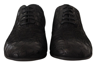 Dolce & Gabbana Schwarzes Kaimanleder Herren Oxford Schuhe