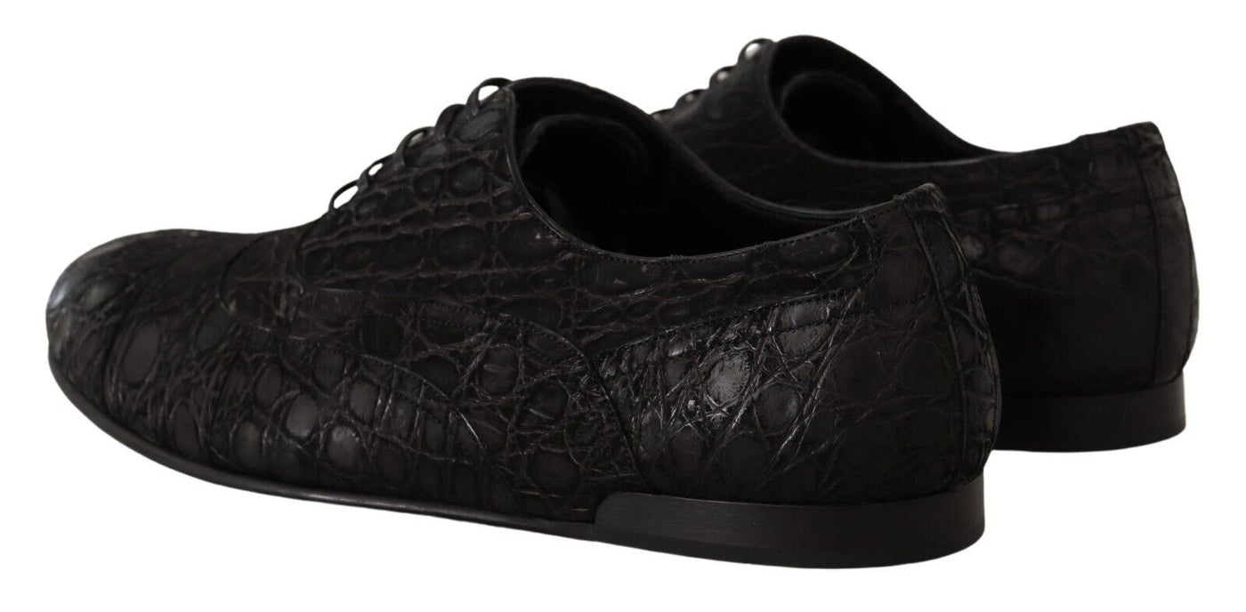 Dolce & Gabbana Schwarzes Kaimanleder Herren Oxford Schuhe