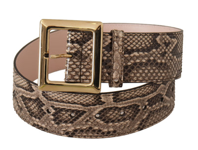 Dolce & Gabbana Beigefarbener Exotenledergürtel mit goldener Metallschnalle