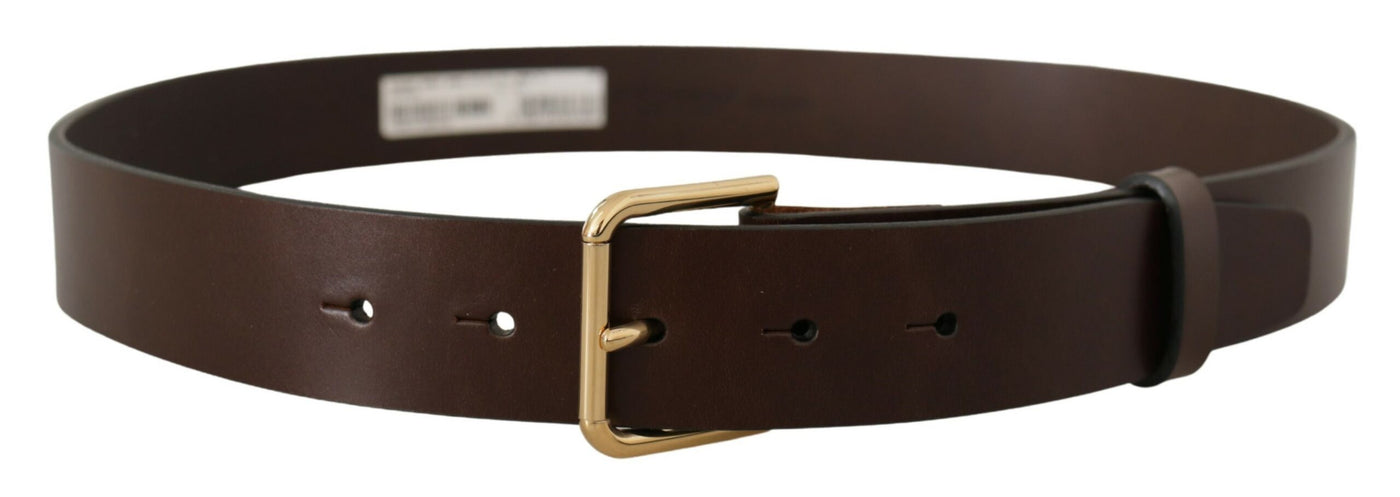Dolce & Gabbana Brauner Gürtel mit goldfarbener Schnalle aus glattem Kalbsleder