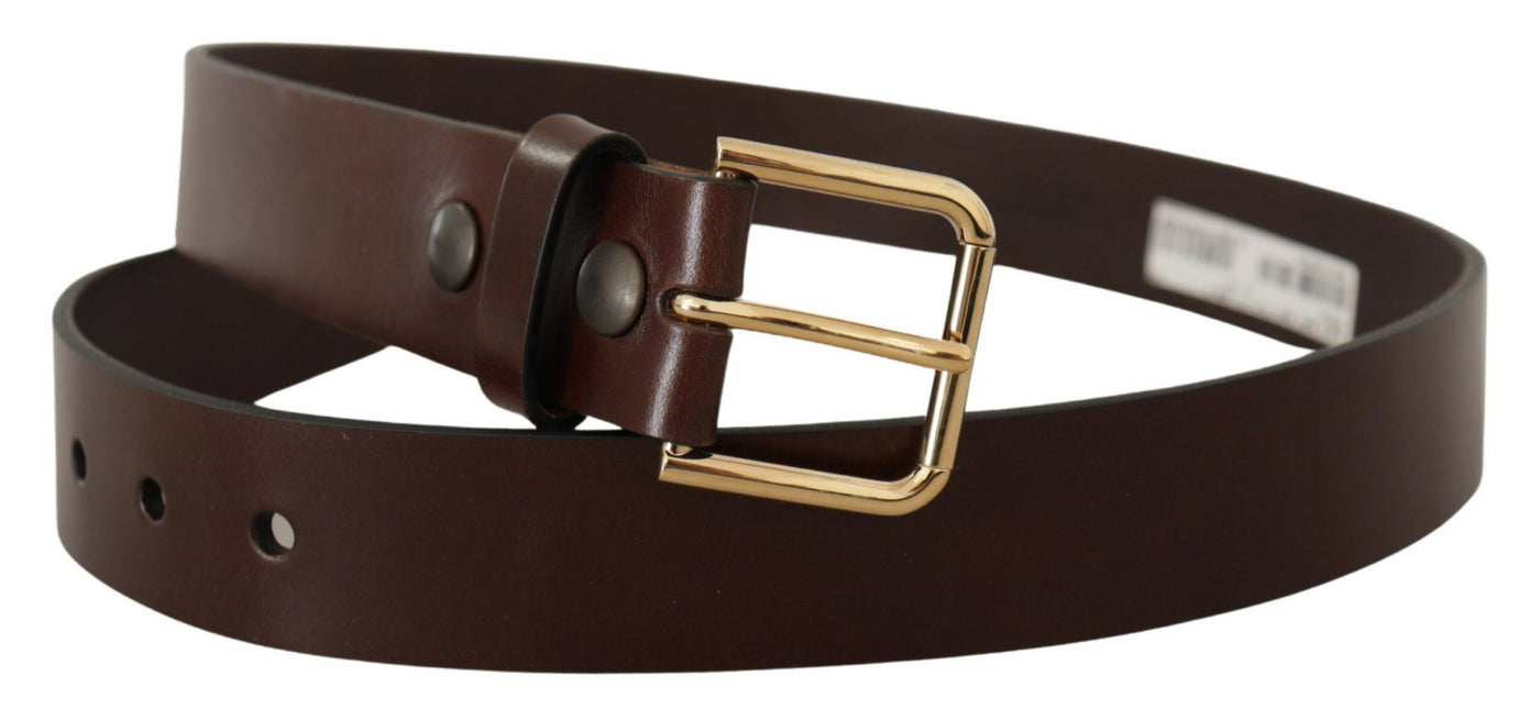 Dolce & Gabbana Brauner polierter Ledergürtel mit goldfarbener Metallschnalle