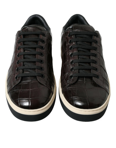 Dolce & Gabbana Braun Kroko Exotische Leder Männer Casual Turnschuhe Schuhe