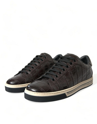 Dolce & Gabbana Braun Kroko Exotische Leder Männer Casual Turnschuhe Schuhe