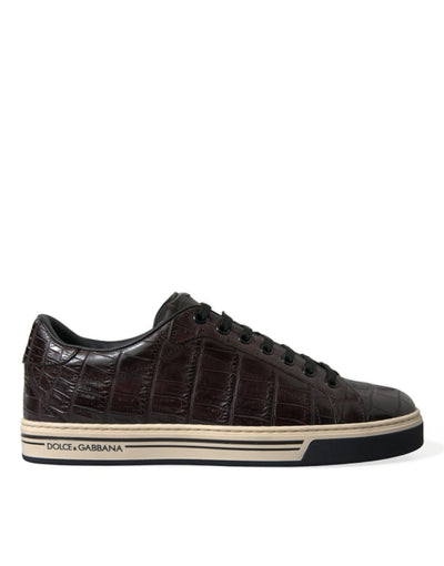 Dolce & Gabbana Braun Kroko Exotische Leder Männer Casual Turnschuhe Schuhe