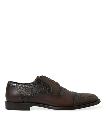 Dolce & Gabbana Braune Exotische Leder Schnürschuhe Oxford Dress Schuhe