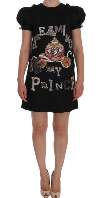 Dolce & Gabbana Graues Kristallkleid "Träume von meinem Prinzen