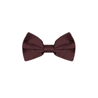 Dolce & Gabbana Burgunderfarbene Seidenschleife