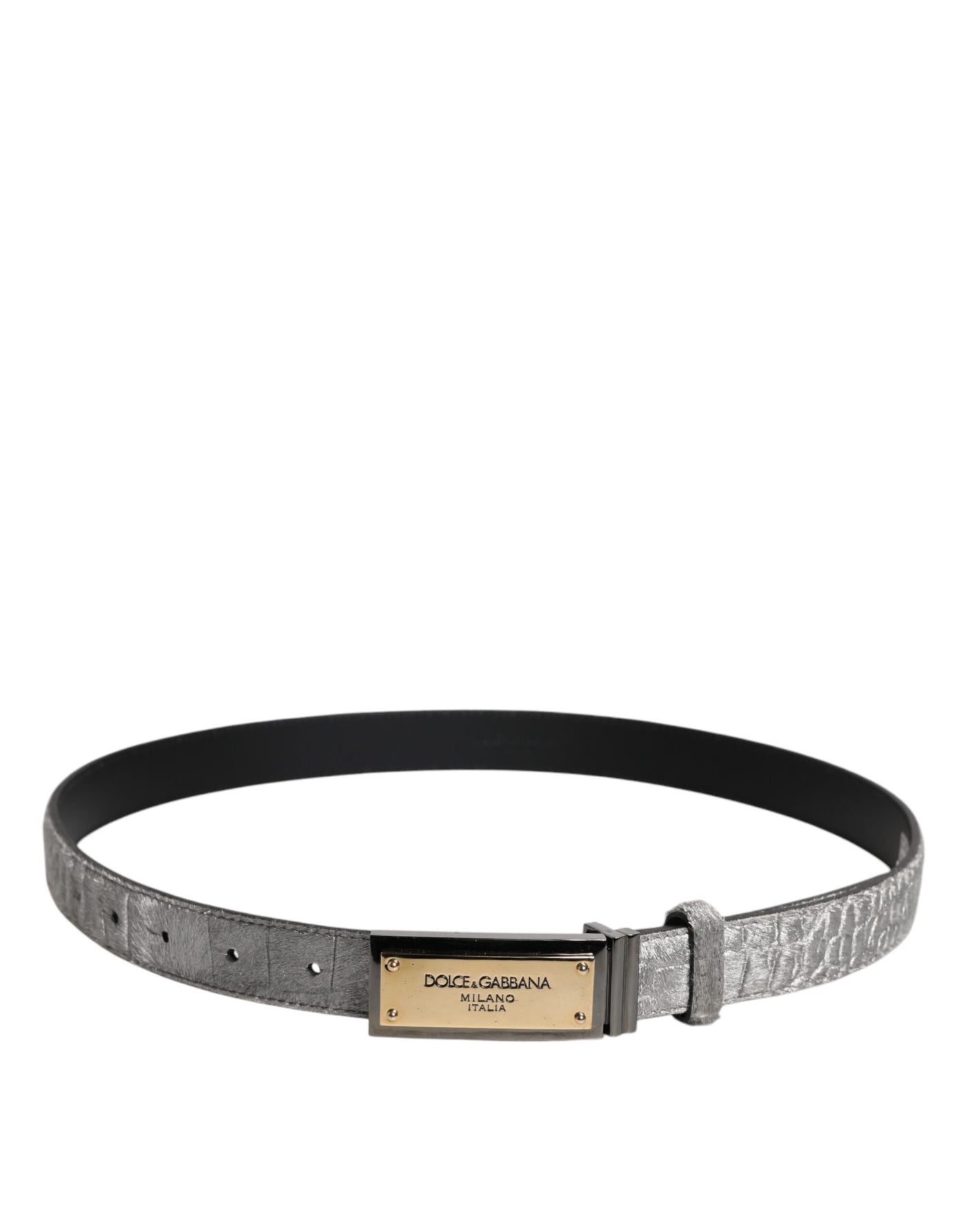 Dolce & Gabbana Silber Klassisch Gold Logo Plaque Schnalle Gürtel