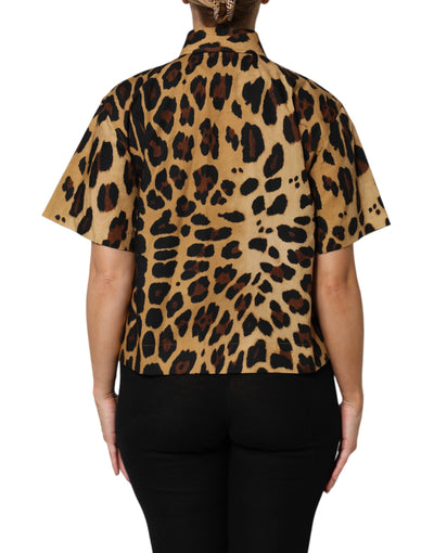 Dolce & Gabbana Braunes Leopard Kurzarm-Poloshirt mit Kragen
