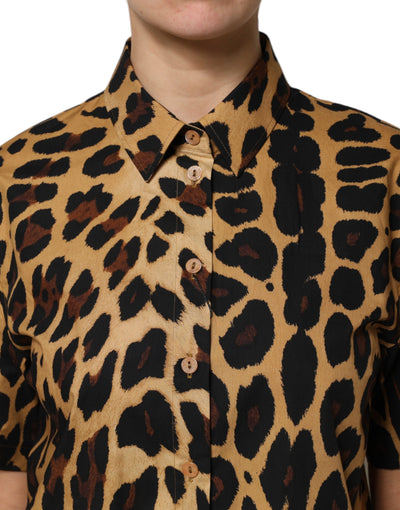 Dolce & Gabbana Braunes Leopard Kurzarm-Poloshirt mit Kragen