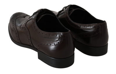 Dolce & Gabbana Braune Leder Broques Oxford Wingtip Schuhe