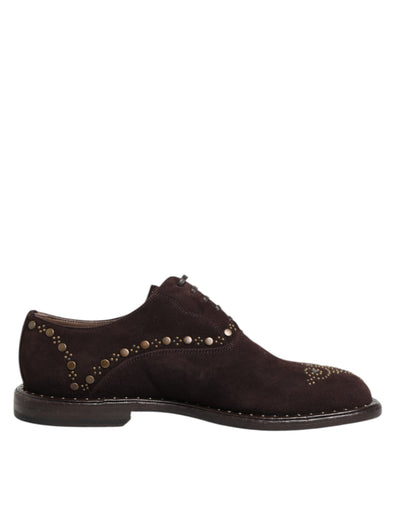 Dolce & Gabbana Braune Samt-Schnürschuhe in Oxford-Optik